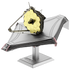 Metal Earth - James Webb Telescope