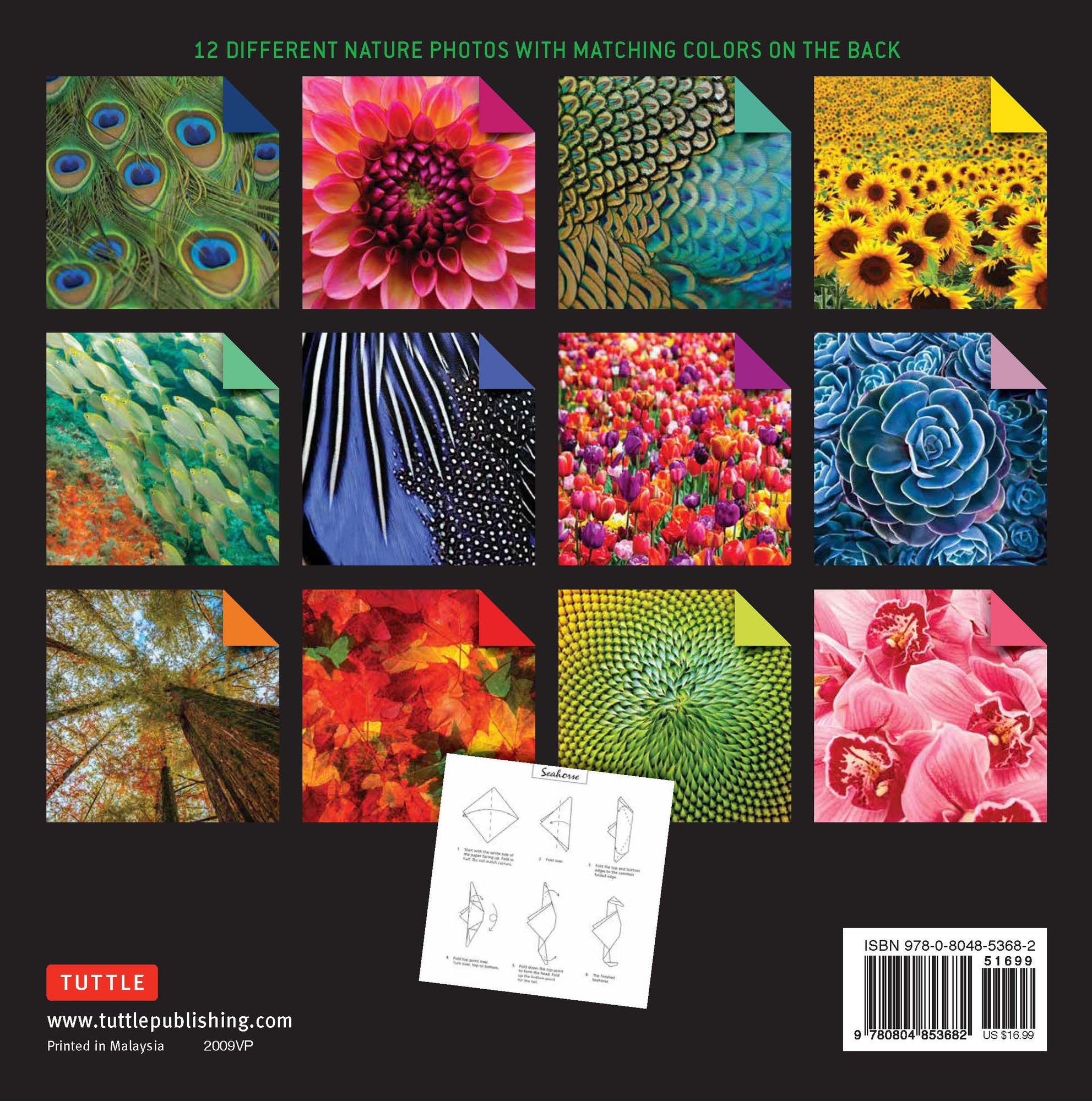 Large 200 Sheets Nature Photos Origami Paper