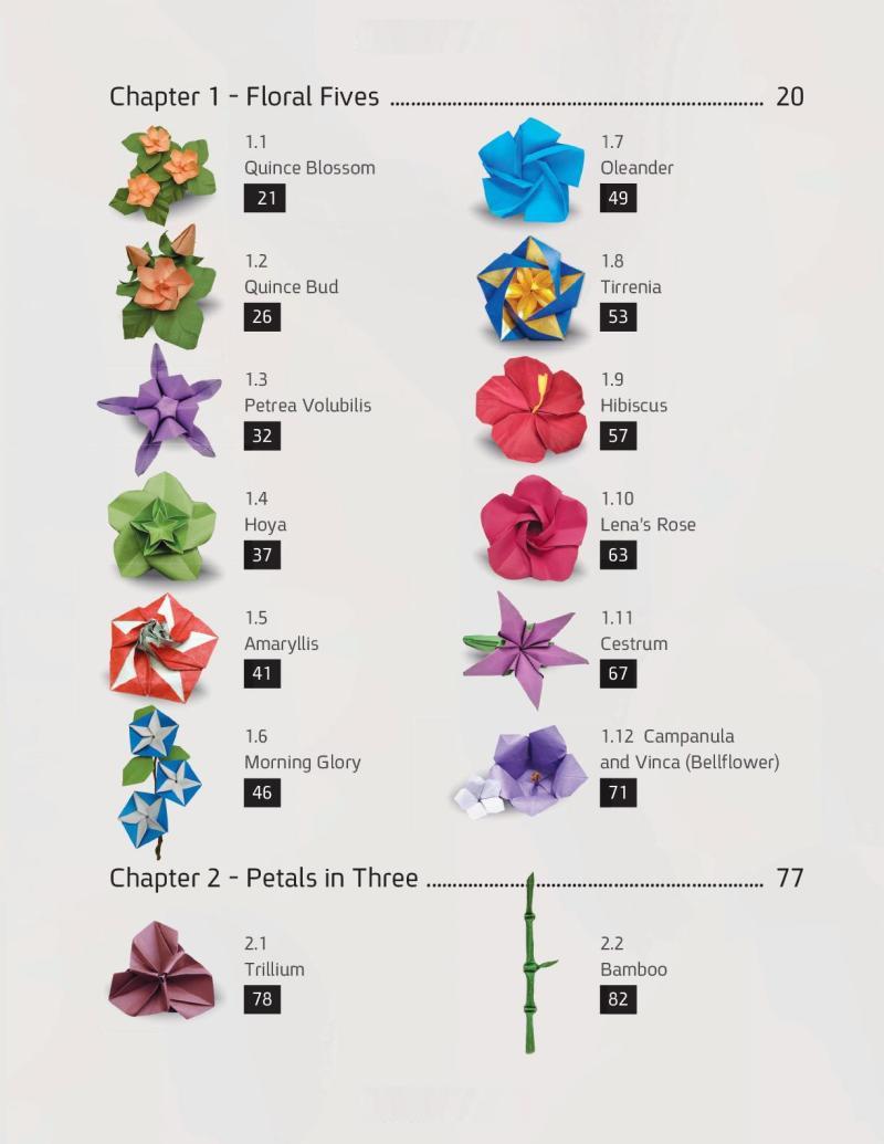 Origami Flora: A Hand-Drawn Guide to Flower Folding