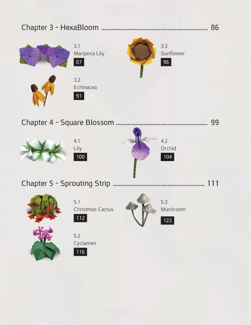 Origami Flora: A Hand-Drawn Guide to Flower Folding