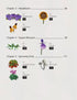 Origami Flora: A Hand-Drawn Guide to Flower Folding