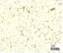Nature Paper - Bamboo