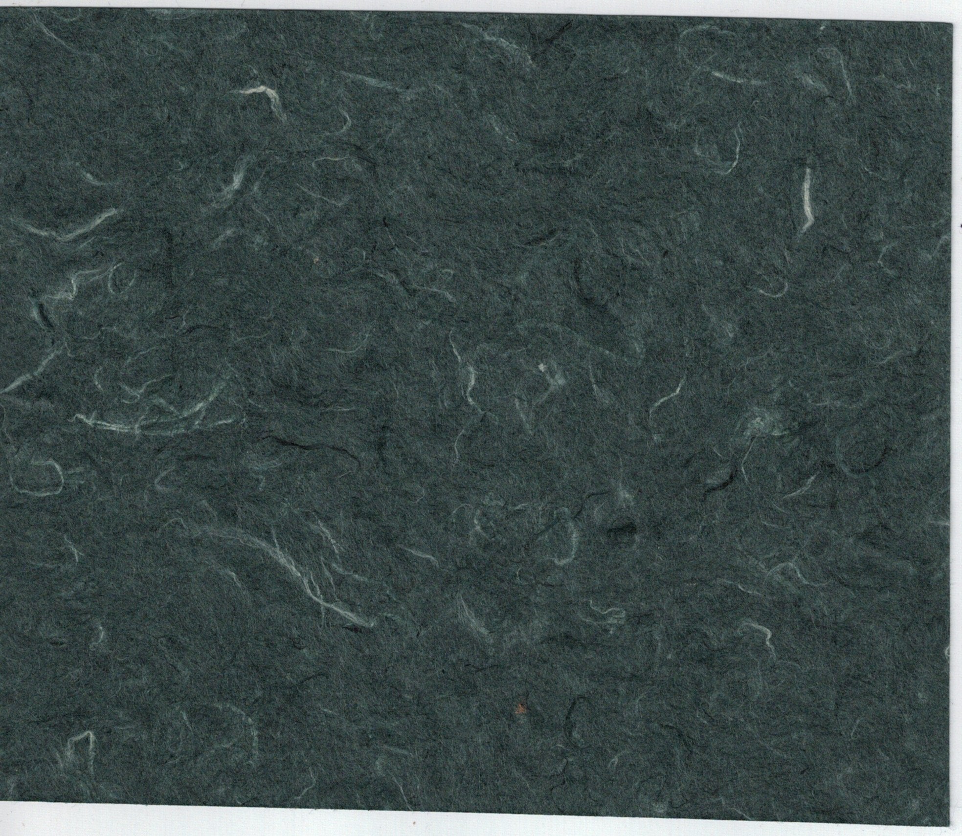 Handmade Paper - Midnight Forest