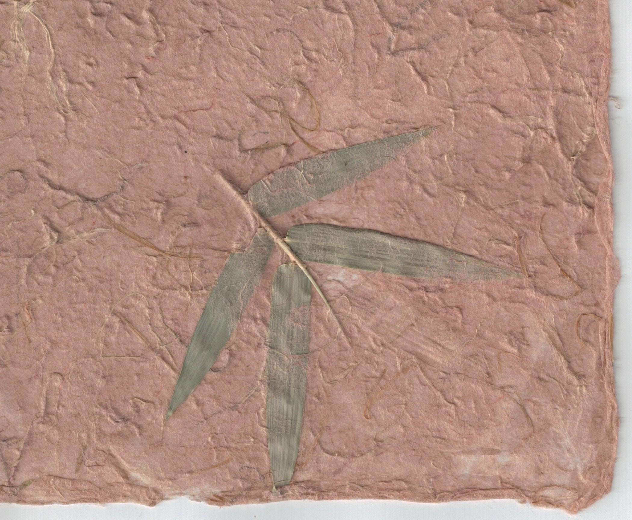 Handmade Paper - Bamboo Wheat