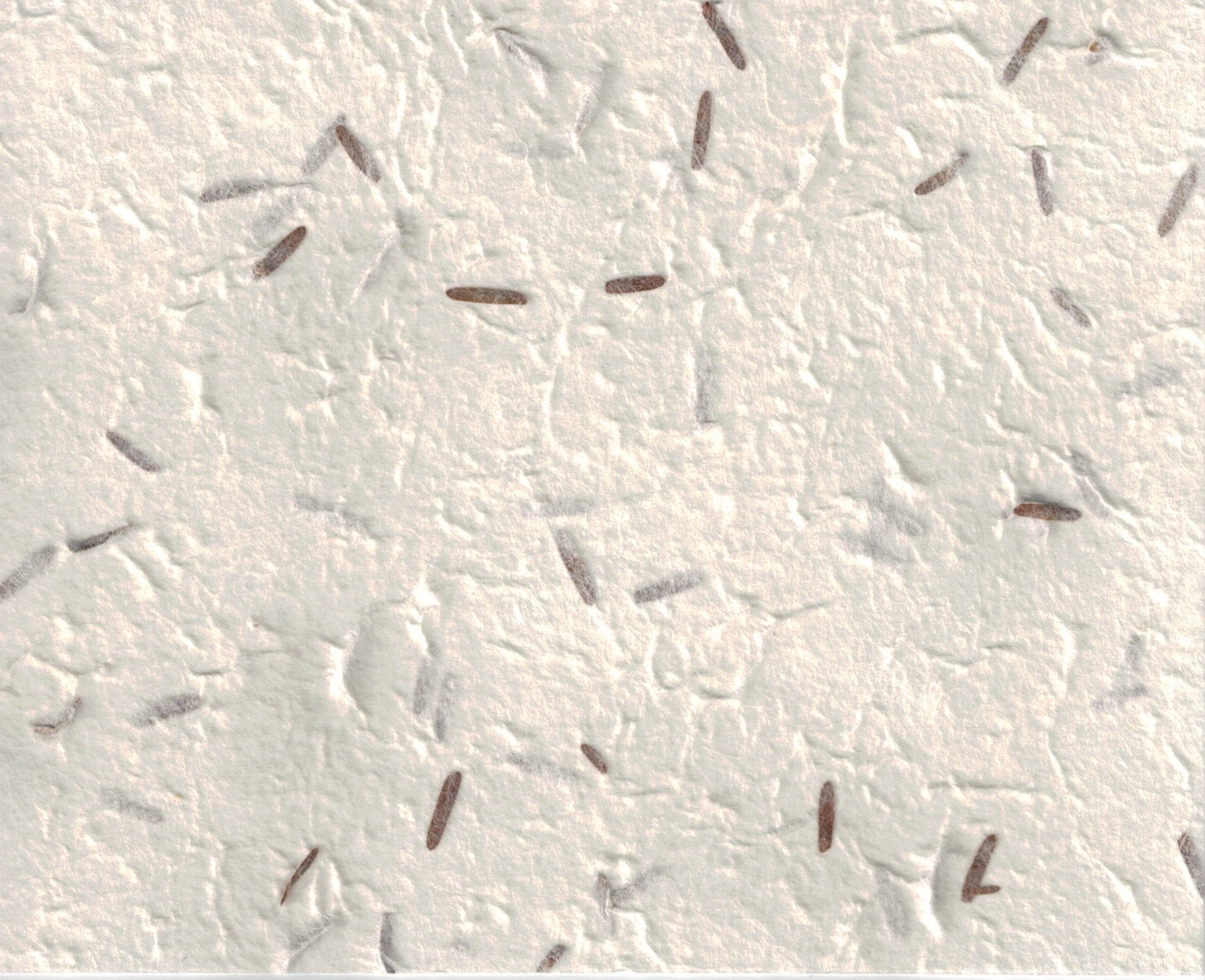 Handmade Paper - Anthos