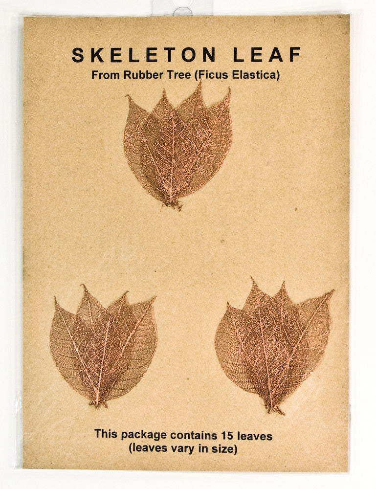 Rubber Tree Leaves - Copper