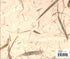 Nature Paper - Bamboo Leaf
