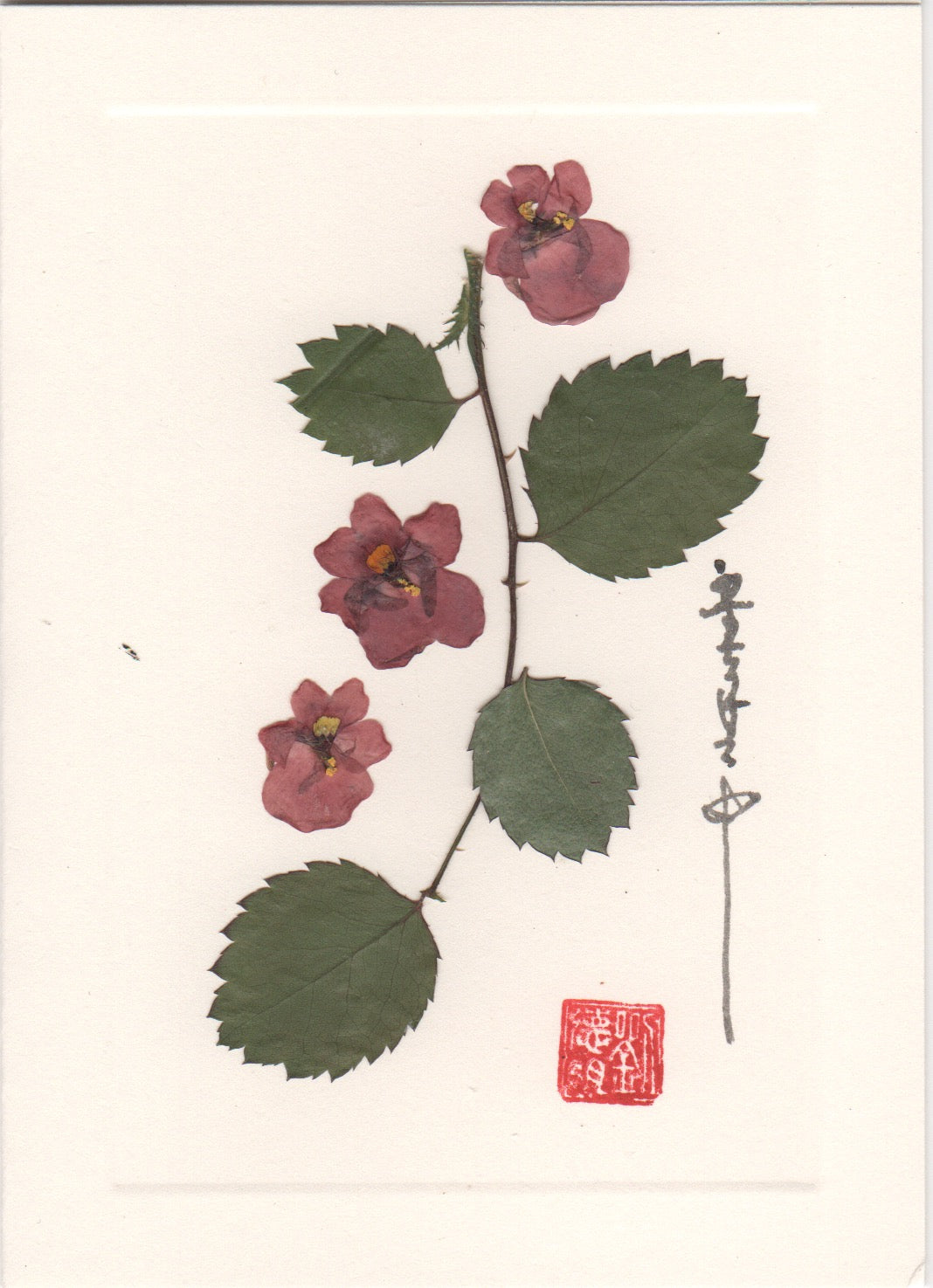 Impatiens w/ Leaves Card
