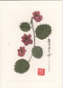 Impatiens w/ Leaves Card