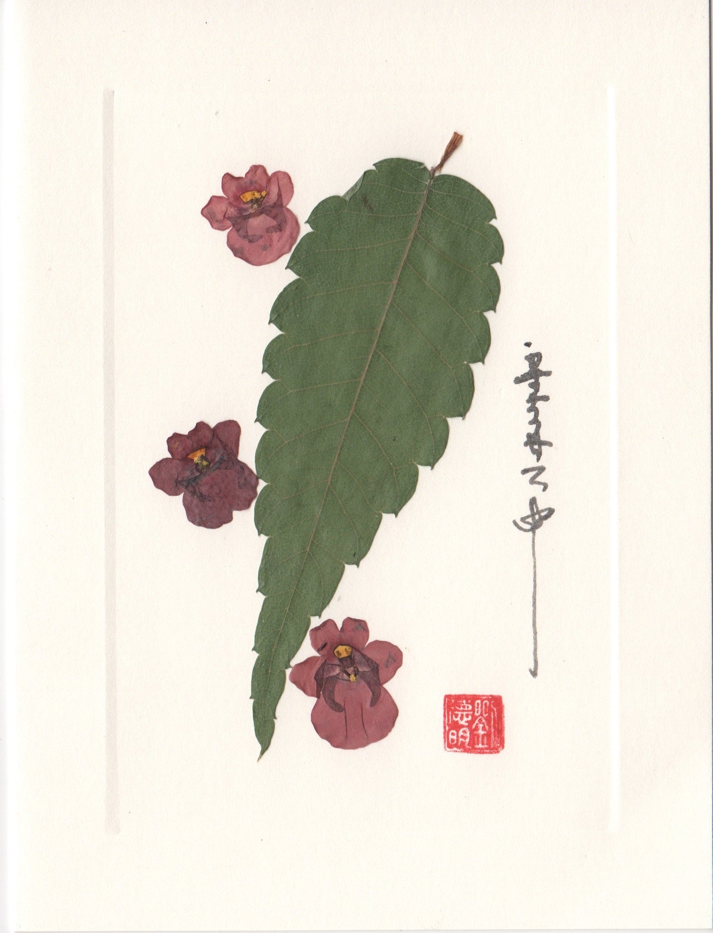 Impatiens w/ Leaves Card