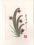 Small Wildflowers with Eucalyptus Leaf Card