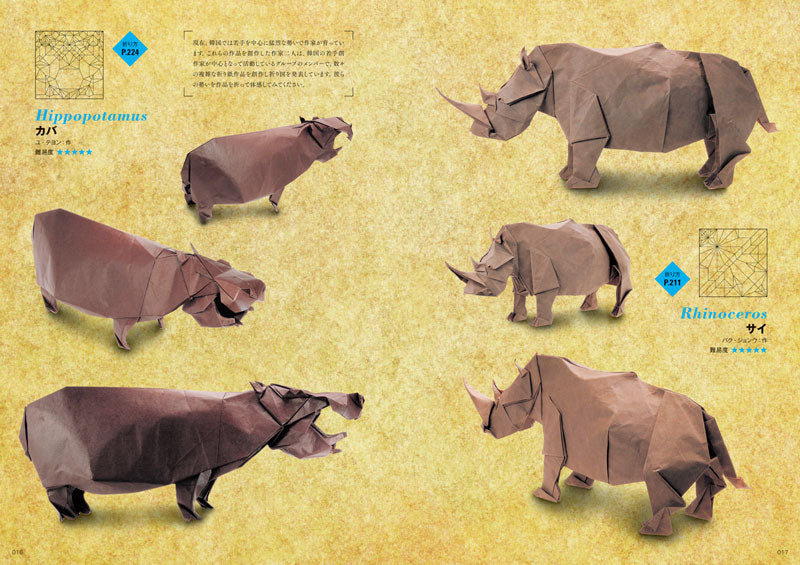The Elegance of Origami