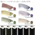Shadow Watercolor Box Set