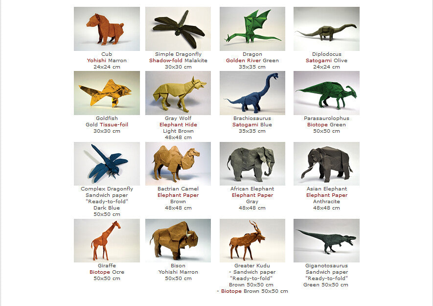 Origami Nature Study (Version 3)