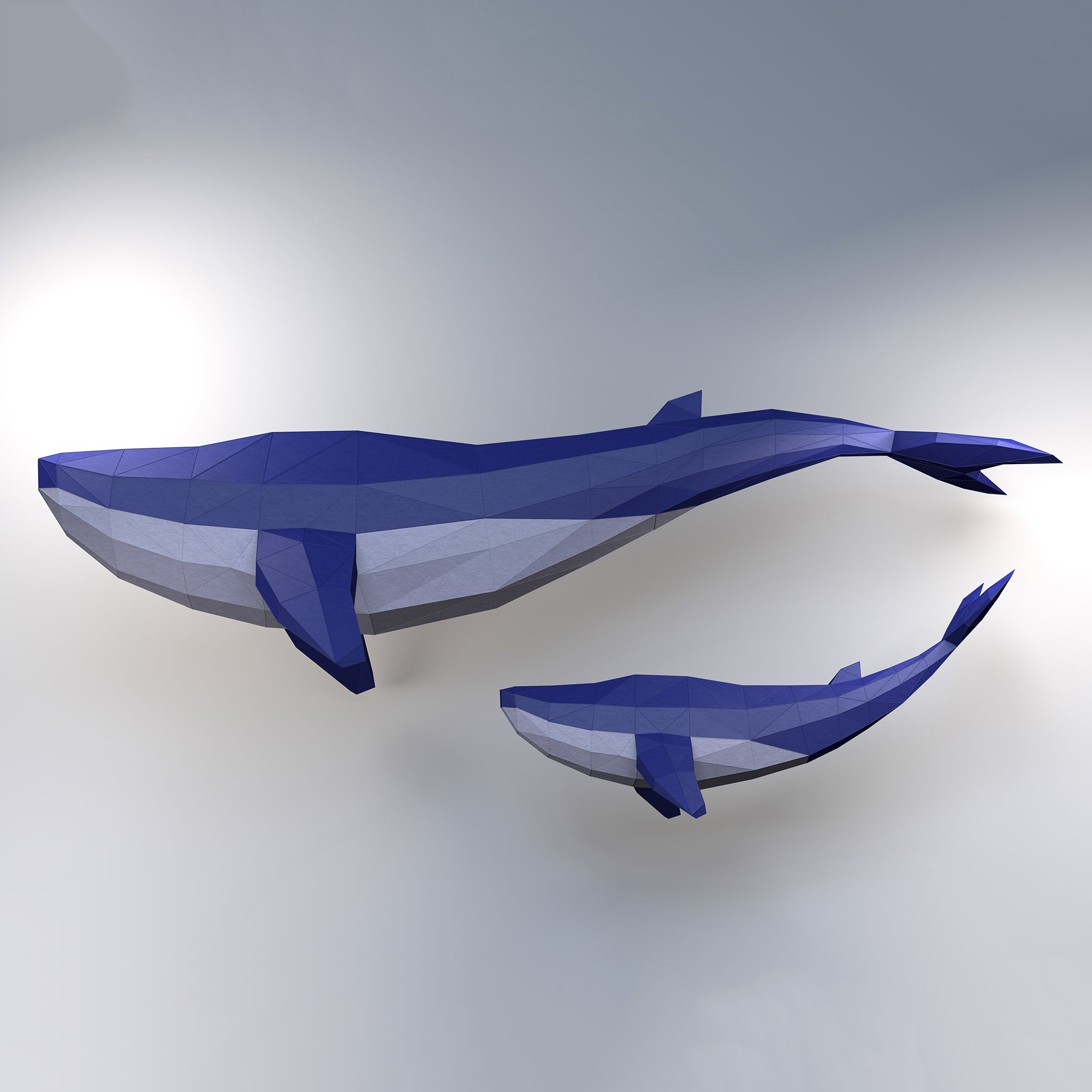 3D Papercraft Art Kit - Whale