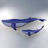3D Papercraft Art Kit - Whale