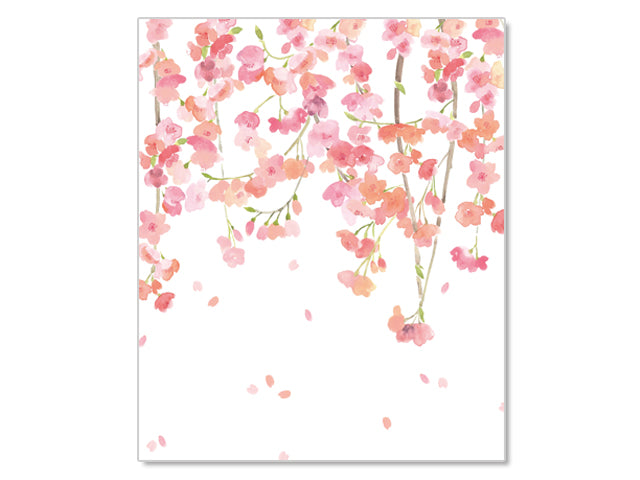 Pocket Patterned Paper