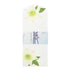 Midori Early Summer Letter Envelope