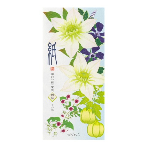 Midori Early Summer Letter Envelope