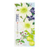 Midori Early Summer Letter Envelope