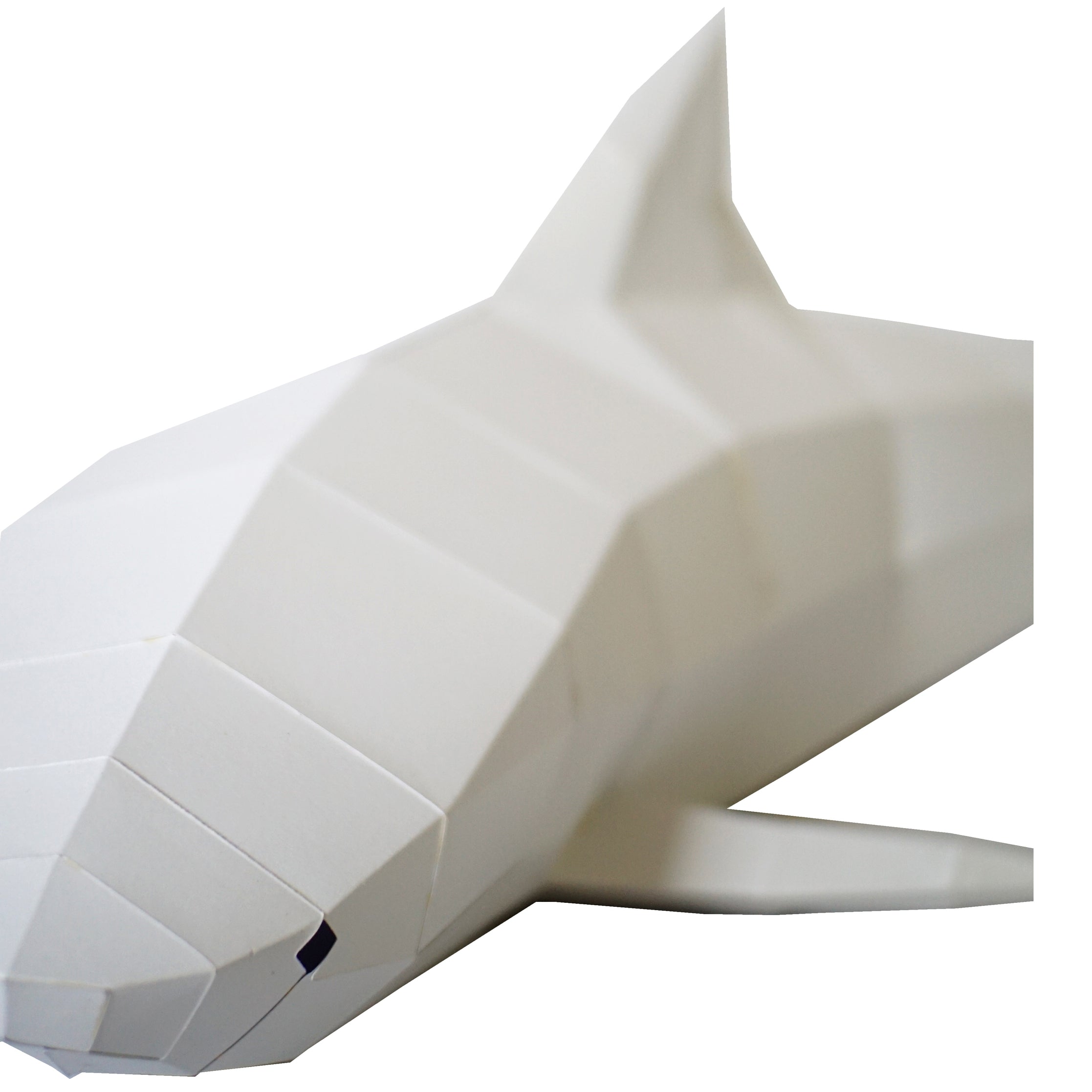 3D Papercraft Wall Art Kit - Tiger Sharks