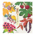 Midori Letter & Envelope Set