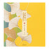 Midori Letter & Envelope Set