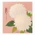 Midori Letter & Envelope Set