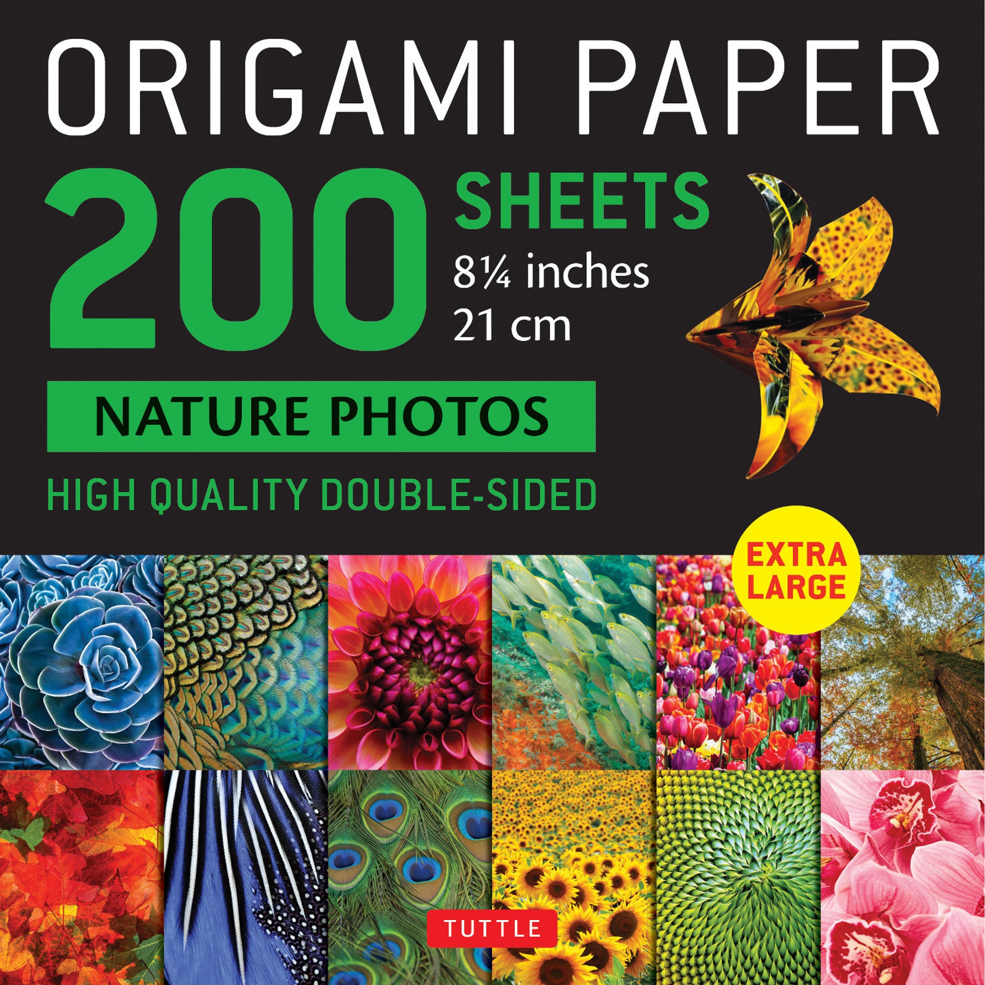 Large 200 Sheets Nature Photos Origami Paper