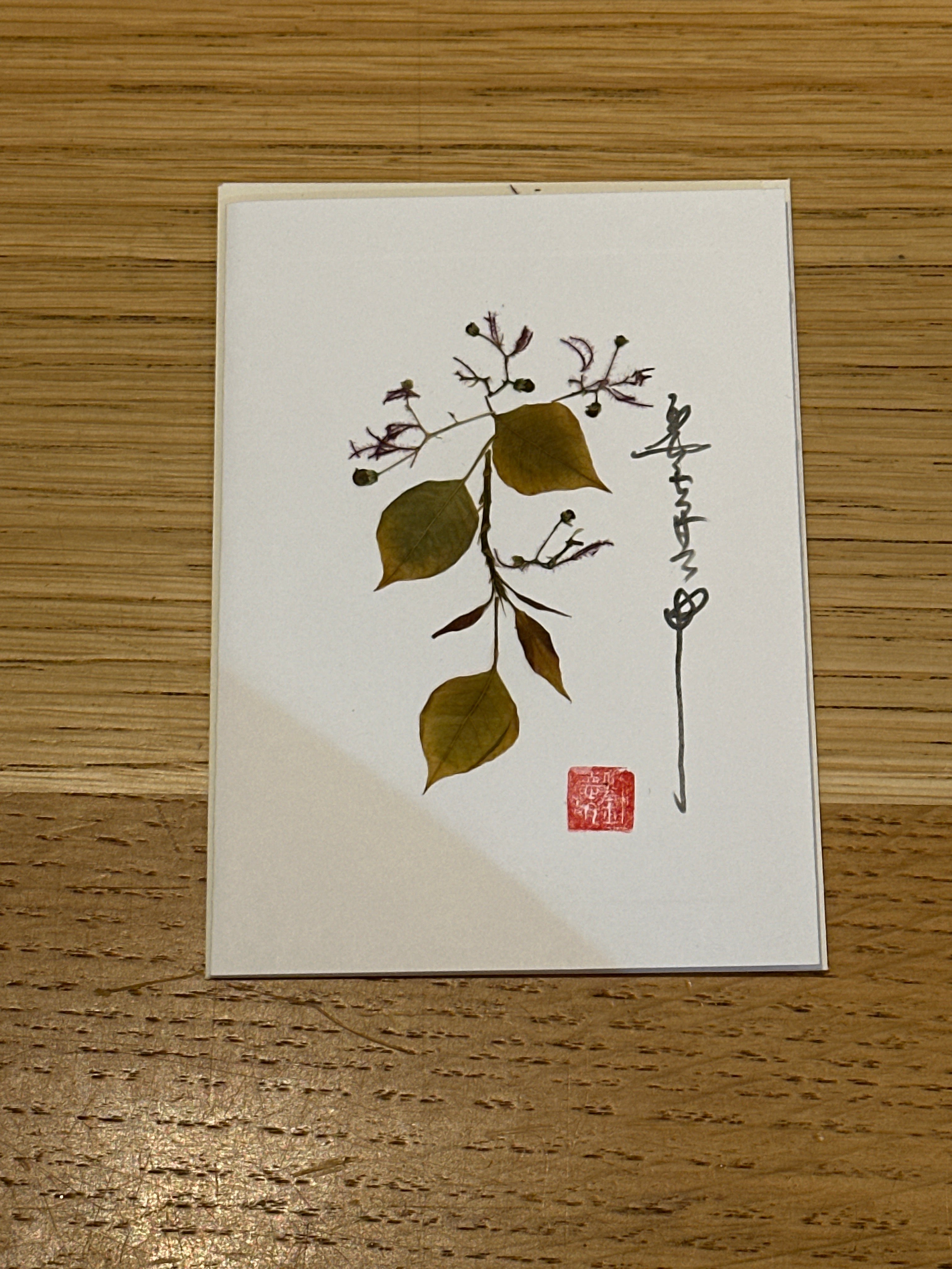 Candleberry Tree Card