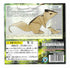Easy Ultra Advanced Origami Kit - Squirrel