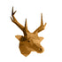 3D Papercraft Wall Art Kit - Gold Deer Head