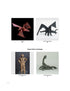 Complex Origami By Boice - Signed Copy