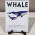 3D Papercraft Art Kit - Whale