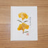 Freesia Card