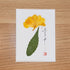 Freesia Card