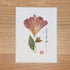 Freesia Card