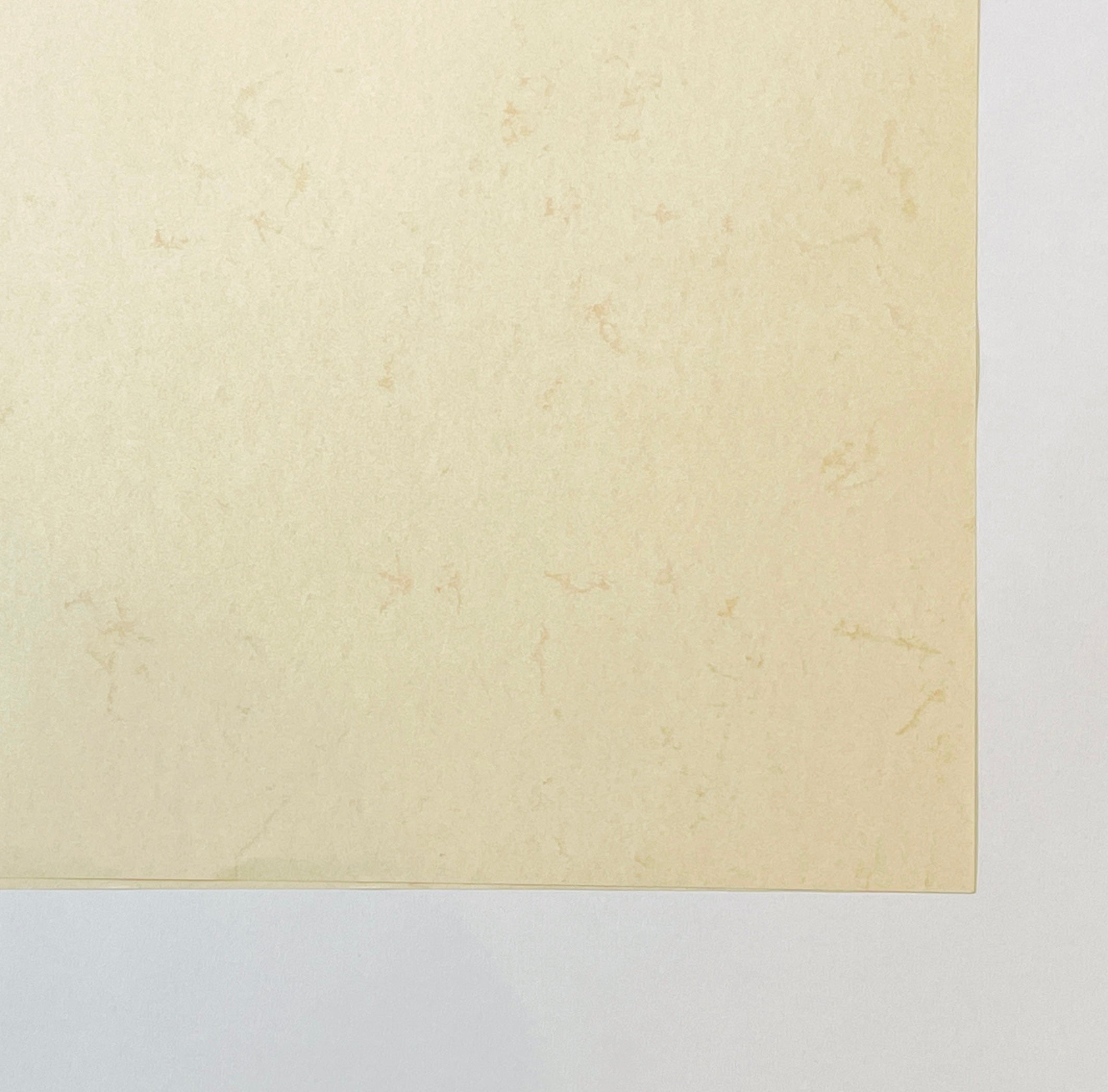 Elephant Hide Full Sheet