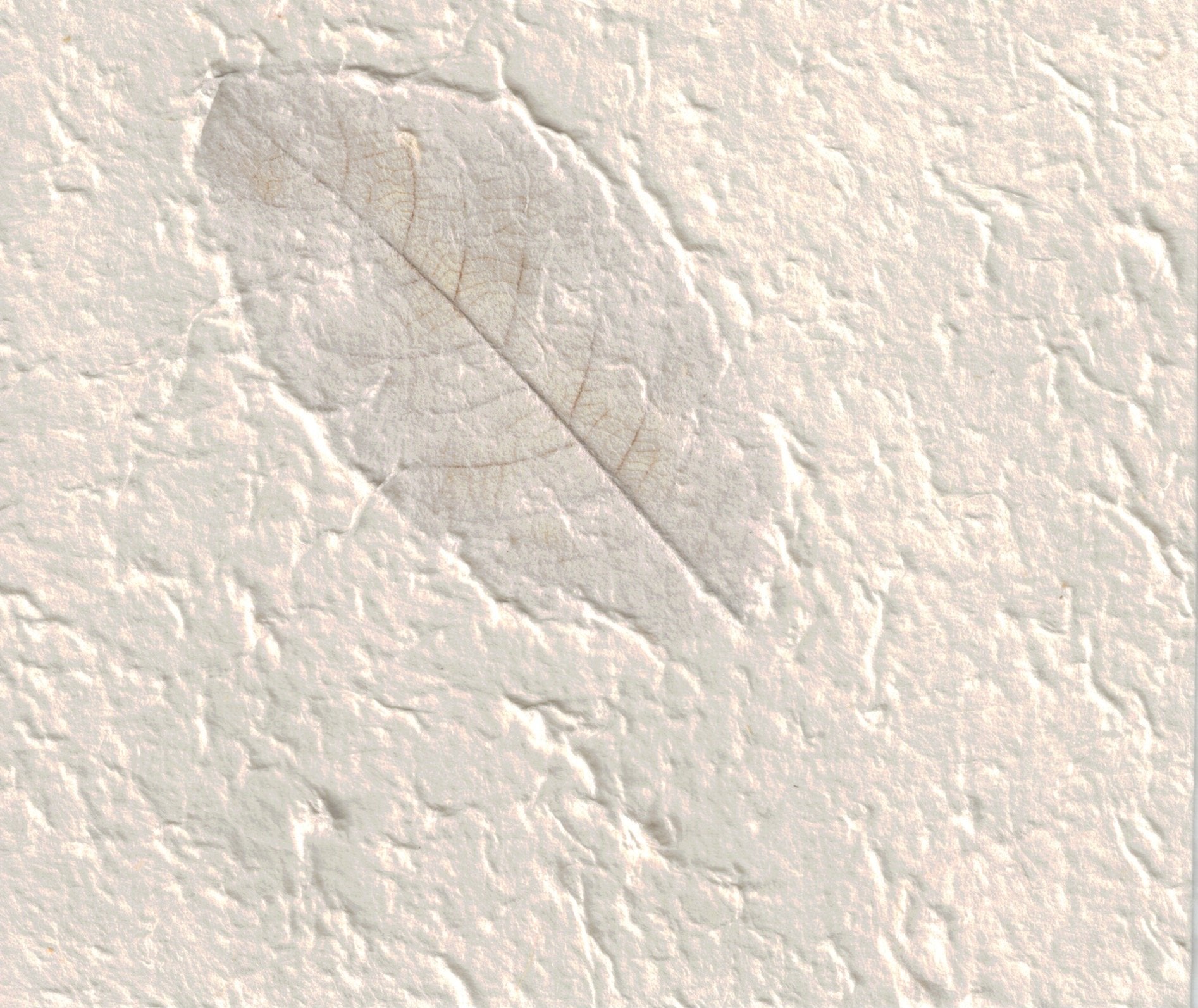 Handmade Paper - White with Leaves