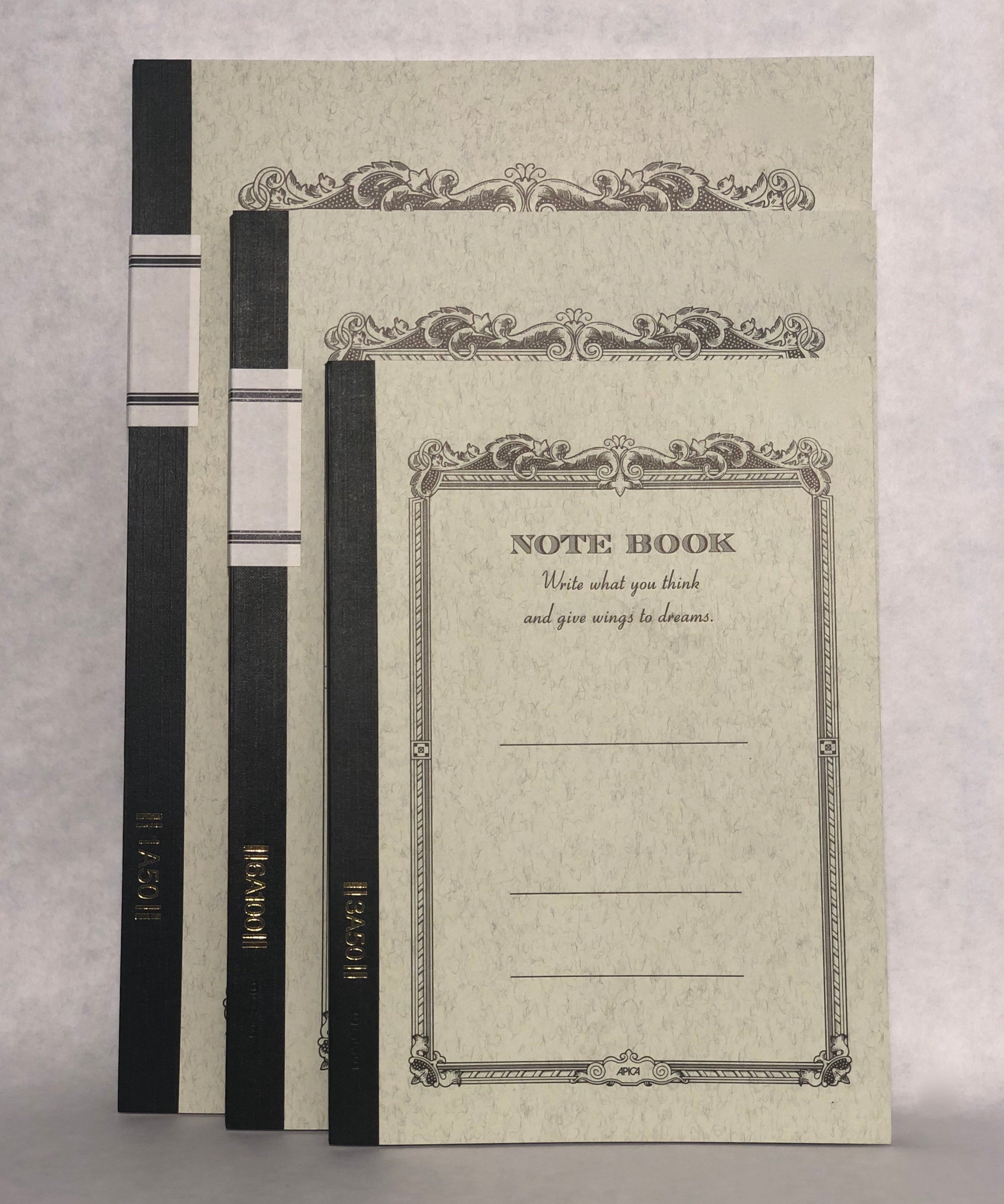 Apica Notebook Basic