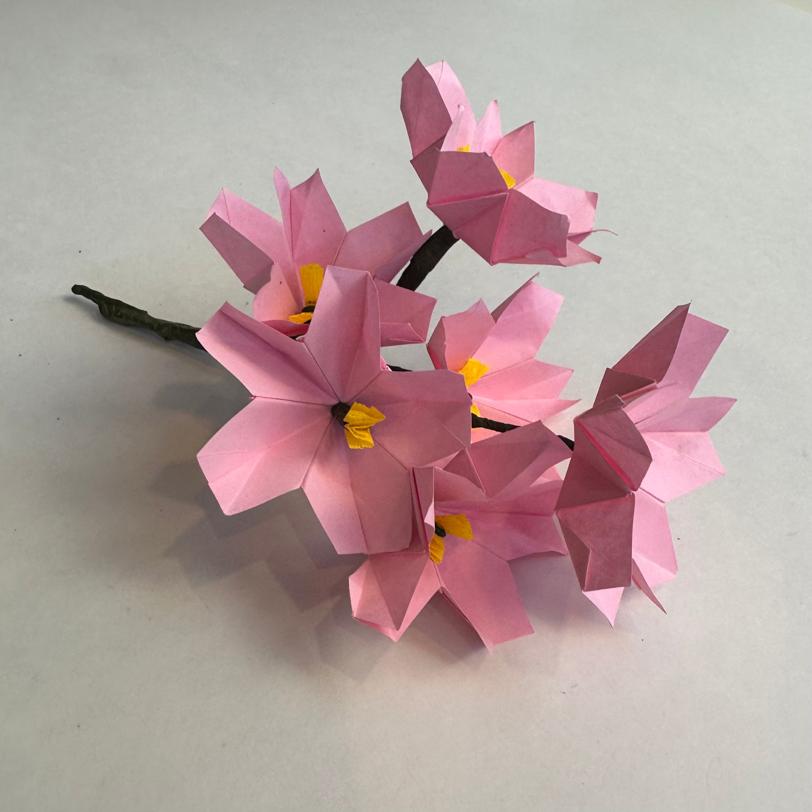 Paper Tree Cherry Blossom Kit