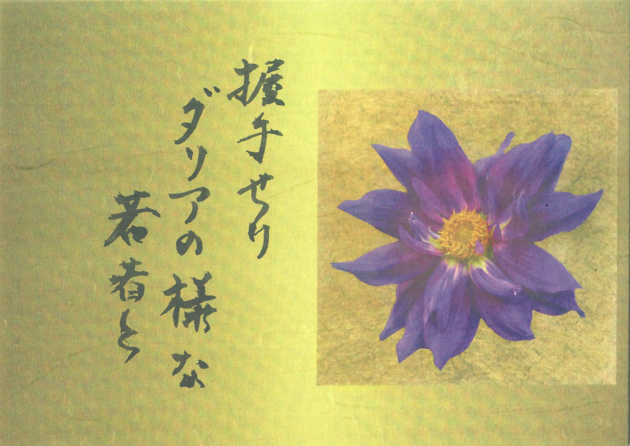 Purple Collarette Dahlia Haiku Card