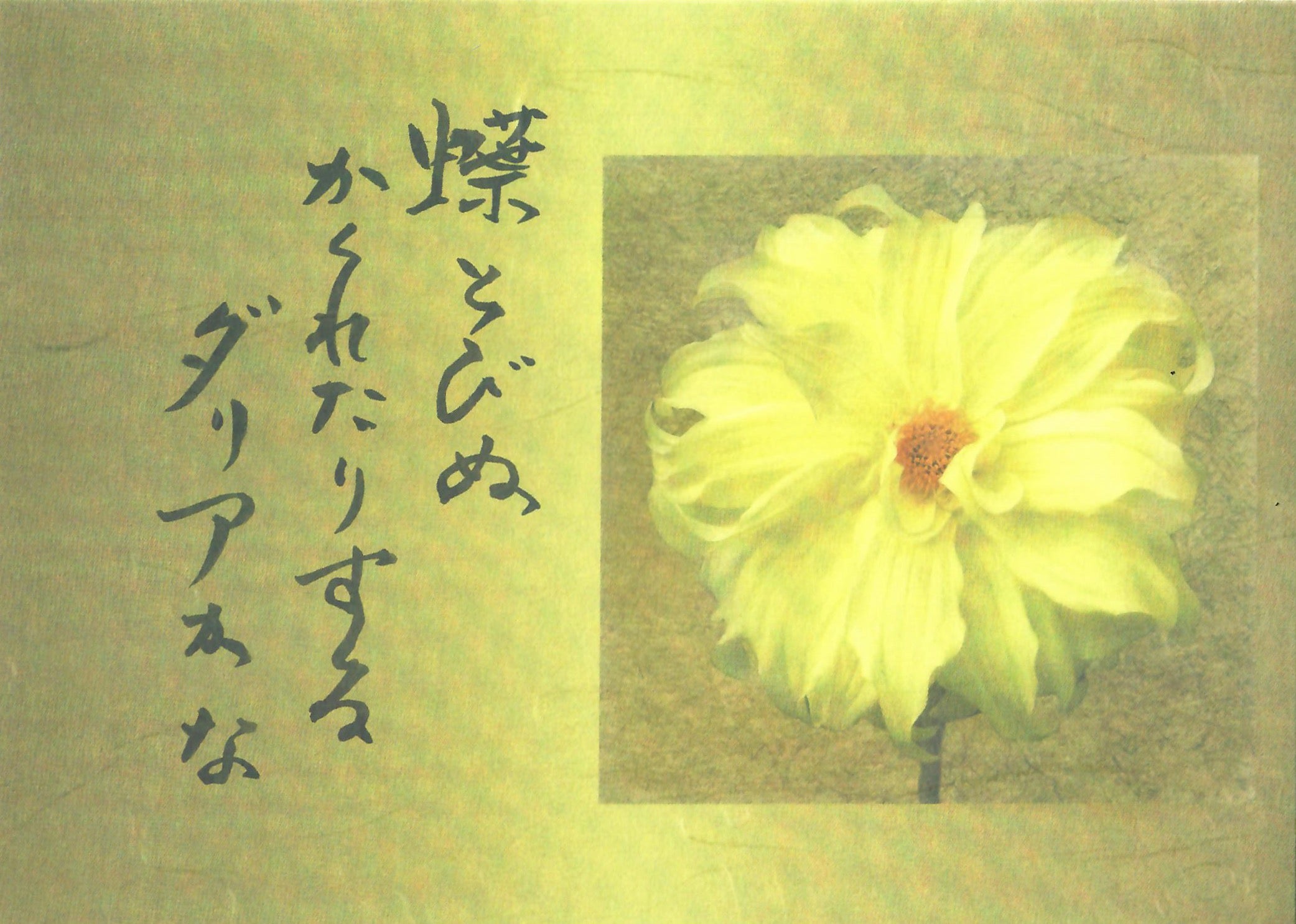 Yellow Garden Dahlia Haiku Card