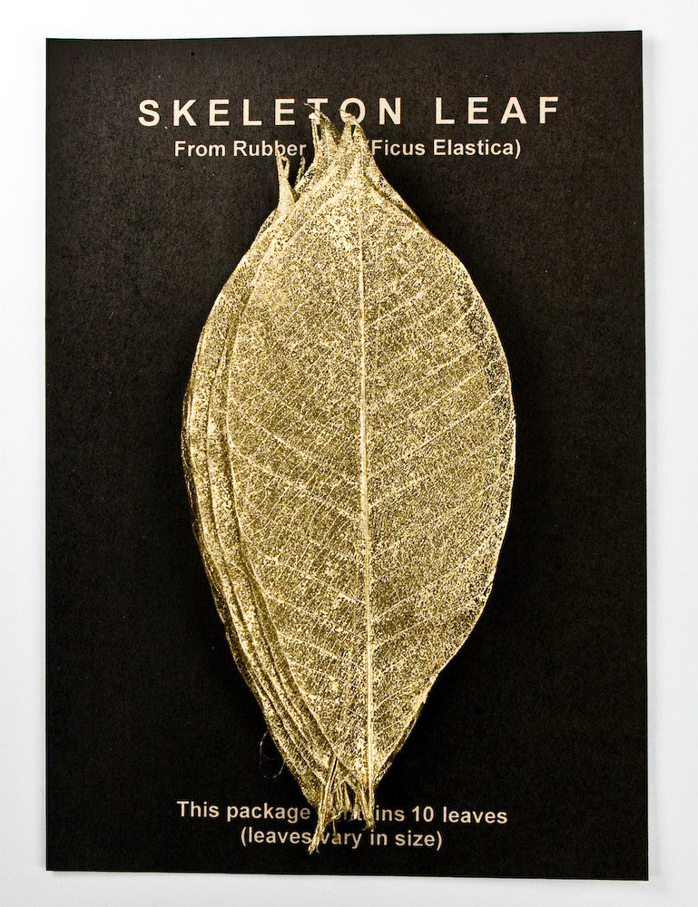 Rubber Tree Leaves - Gold