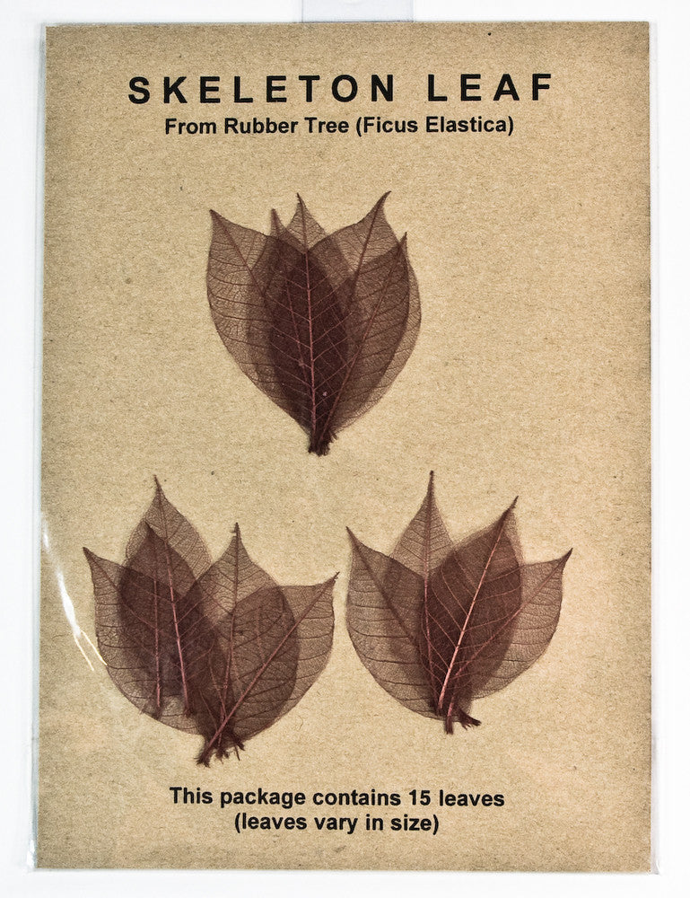 Rubber Tree Leaves - Maroon