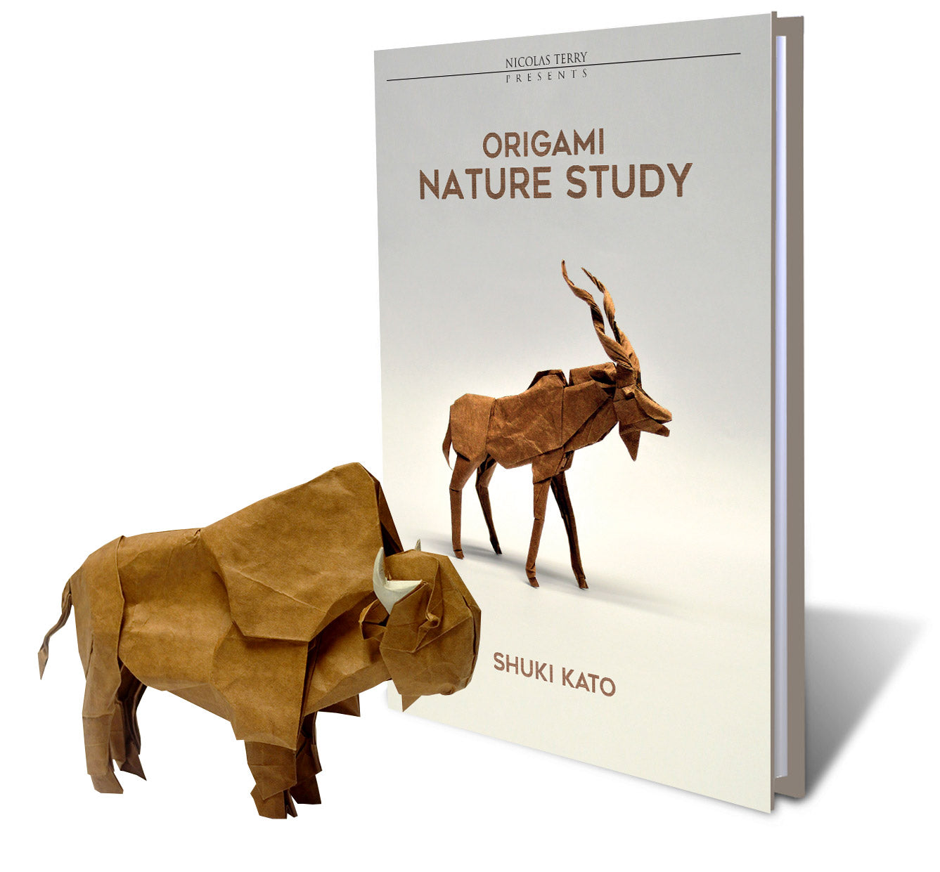 Origami Nature Study (Version 3)