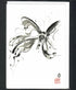 Sumie Butterfly Card