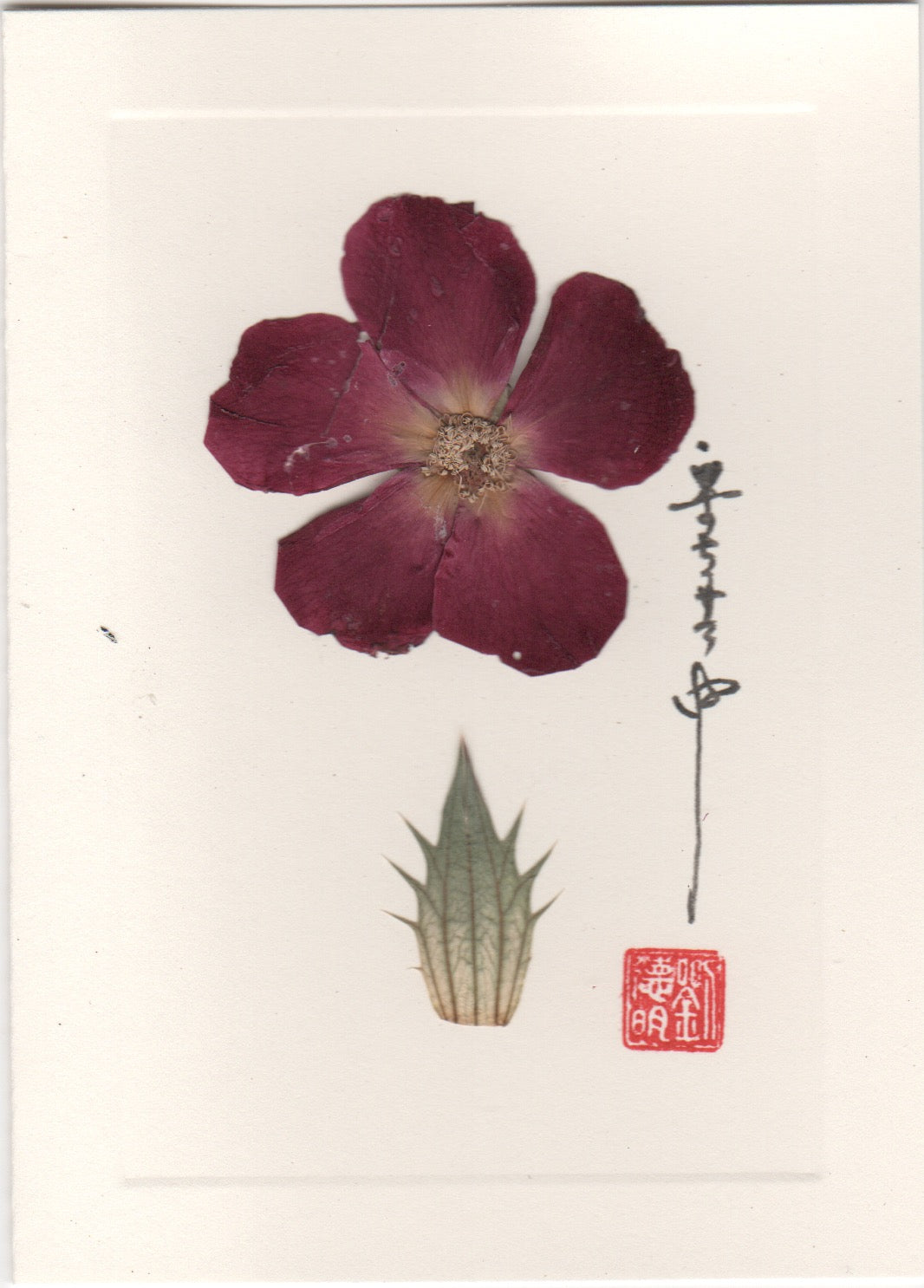 Purple Poppy Card