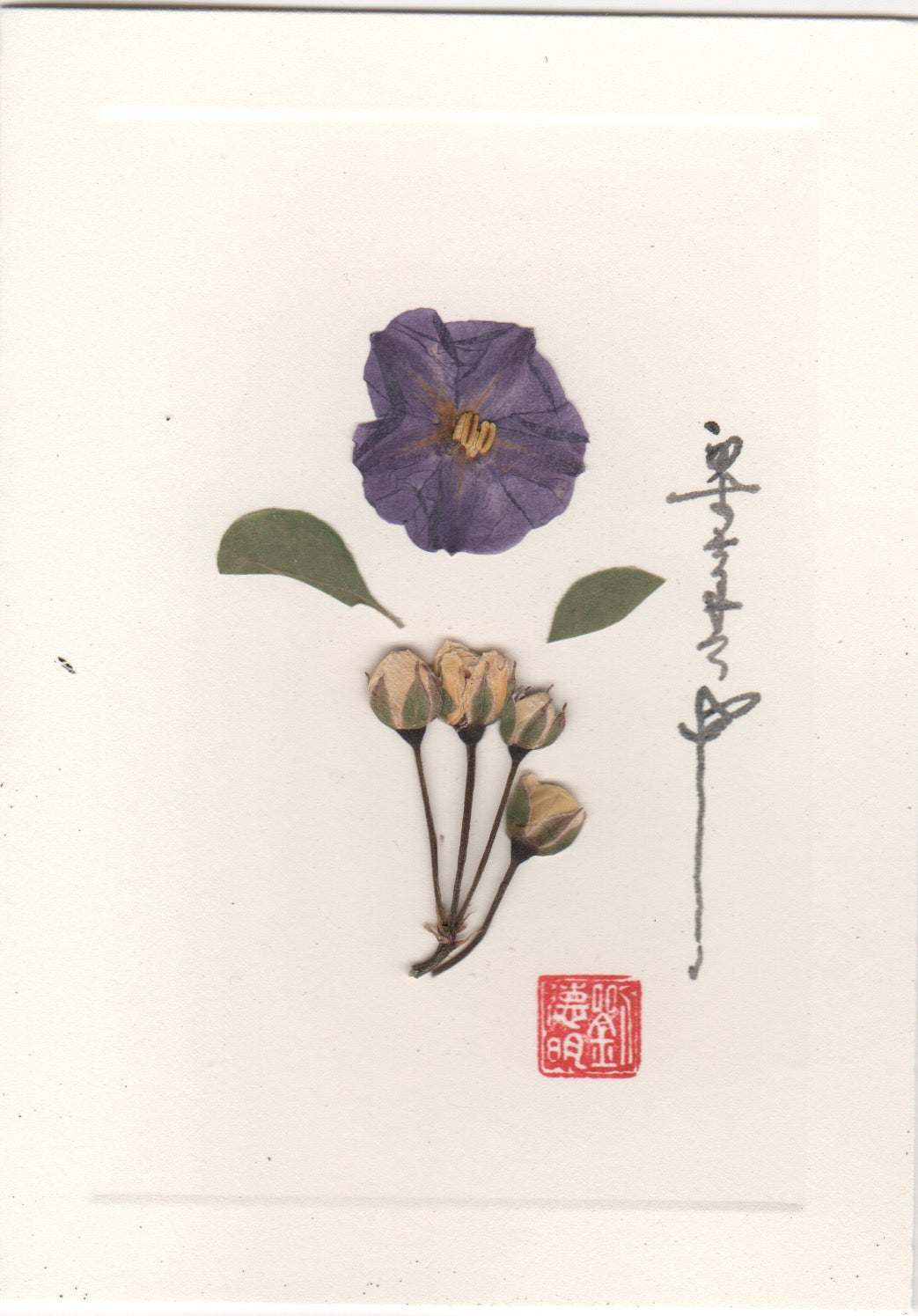Purple and Mini Yellow Flower Card