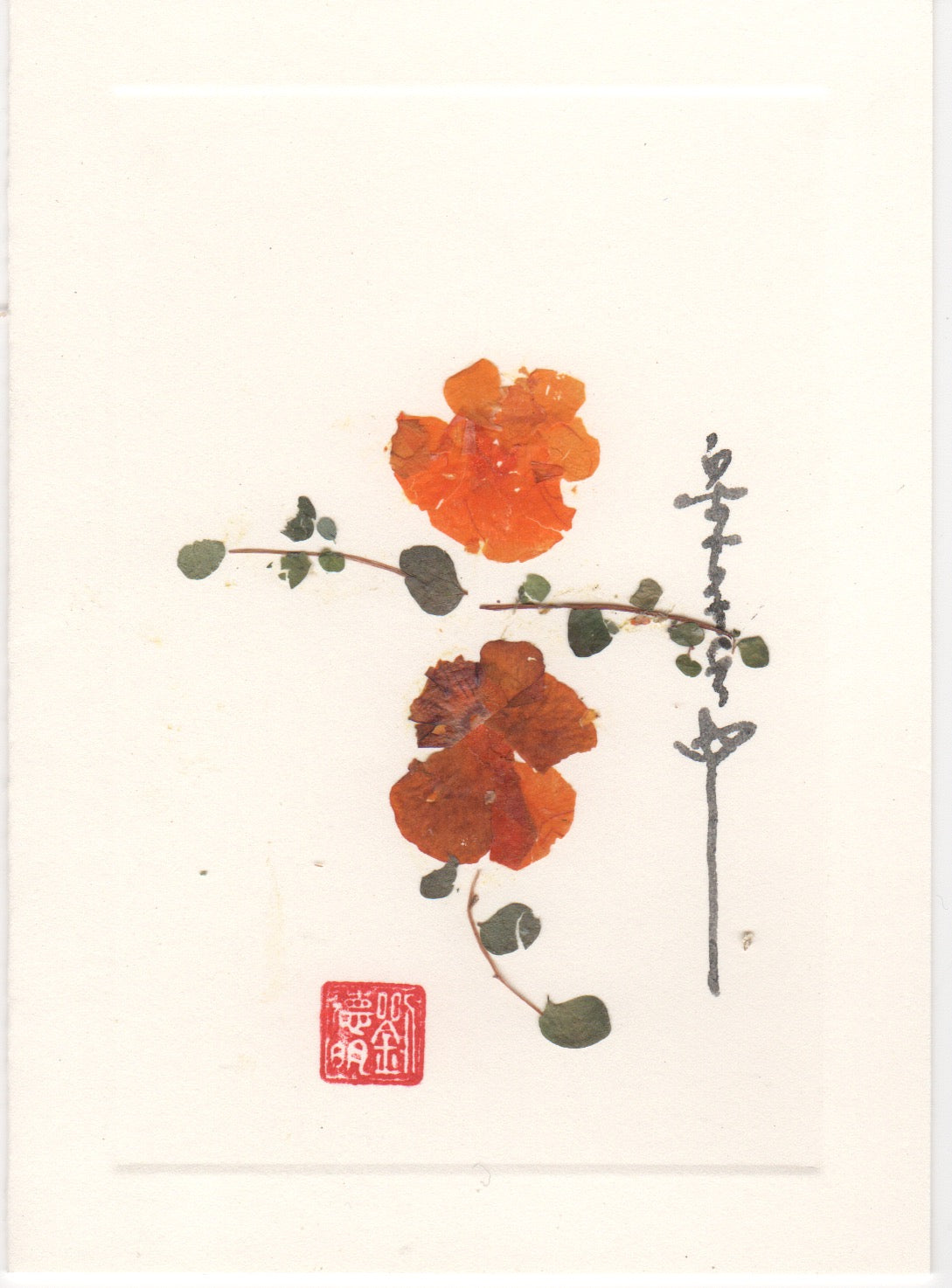 Orange Poppy Card